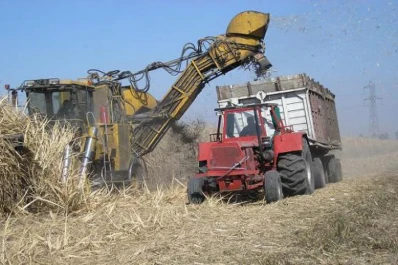 La certificación como medida para prevenir la quema de los cañaverales