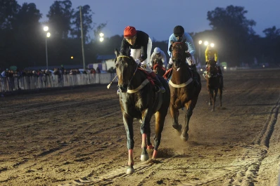 Duro examen para Snow Lion