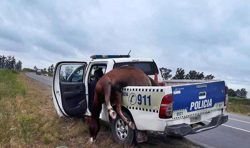 Un trapito cobra igual que una playa de estacionamiento