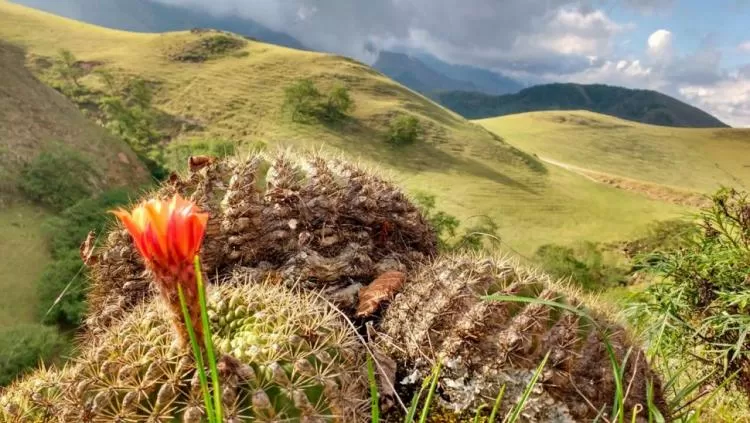 TAFÍ DEL VALLE. Nuestros cerros quedaron a un paso. LA GACETA / MARTÍN SOTO