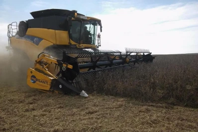 Recomendaciones del INTA para lograr una eficiente cosecha de soja