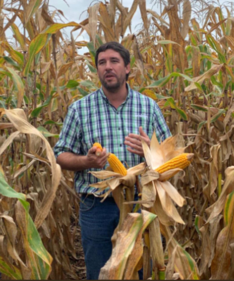 BERTOLOTTI. Gerente de Desarrollo de Semillas de Syngenta para maíz-girasol