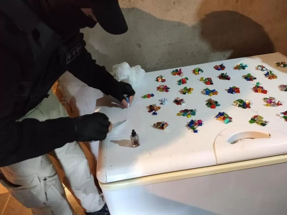 ESTUPEFACIENTES. La dueña de la propiedad está siendo investigada.  