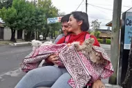 Beneficios de castrar a tu mascota