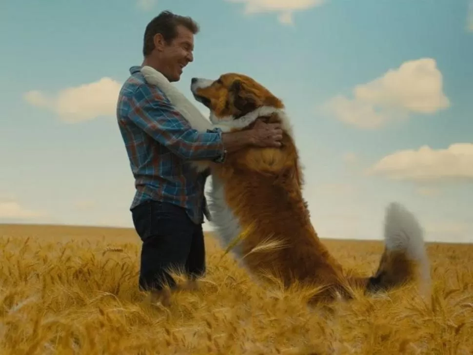 LA RAZÓN DE ESTAR CONTIGO: UN NUEVO VIAJE.- 