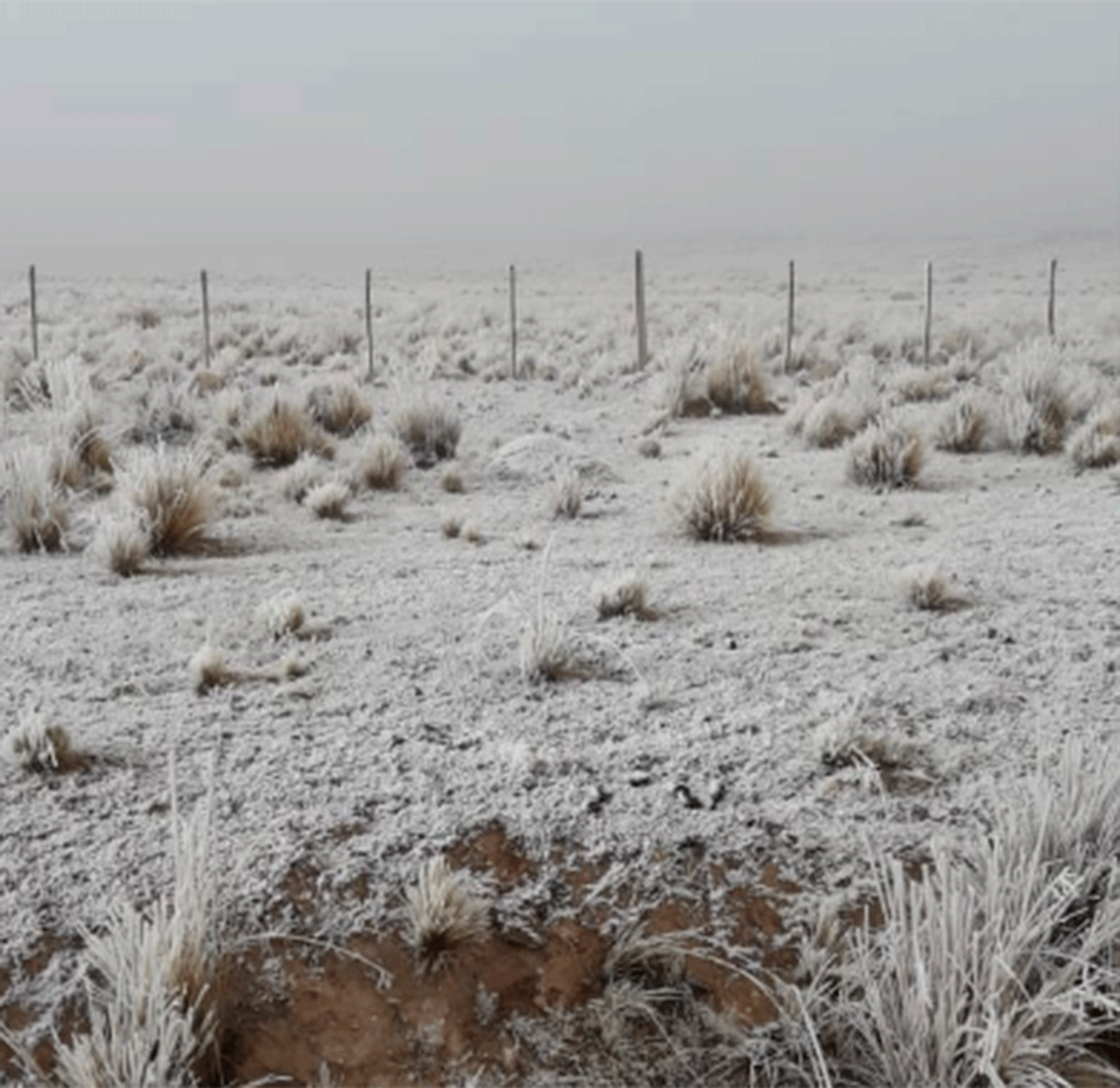 Mirá cómo amaneció Tafi del Valle