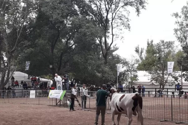 Expo Láctea 2019: eligen los mejores quesos, quesillos y dulces de leche