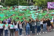 Por octava vez se presentará el proyecto de aborto legal