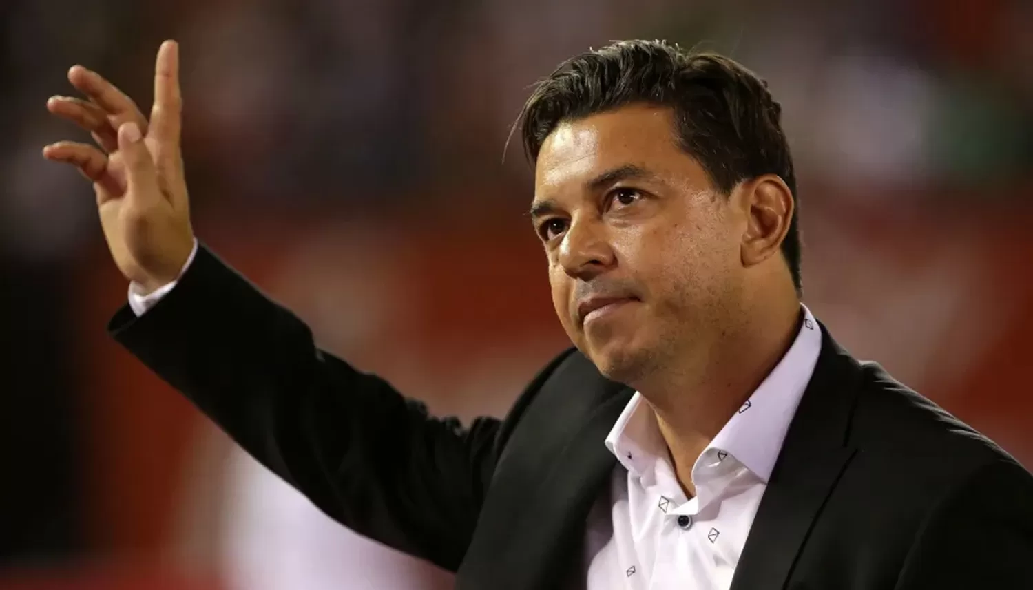 MARCELO GALLARDO.