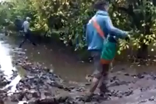 Video: tras las últimas lluvias, obreros del limón trabajan en medio del barro