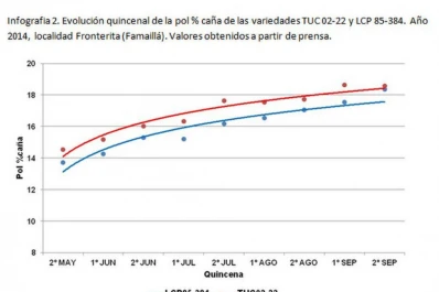 Buenos rindes culturales de TUC 00-65, TUC 02-22 y TUC 06-7
