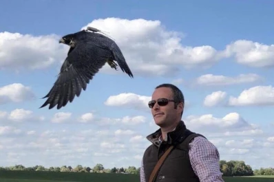 La cetrería se define como el arte de capturar una presa salvaje utilizando un ave rapaz