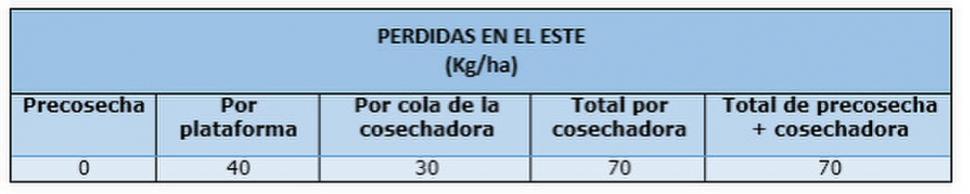 La trilla de soja en Tucumán avanzó un 75% en el este provincial, y hasta un 55% en campos ubicados 