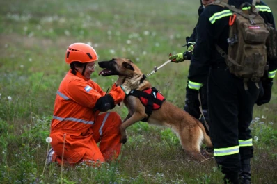 Cómo se entrenan los perros para rescatar personas