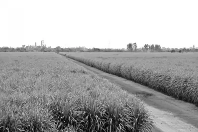 La alícuota cero generó polémica entre los candidatos