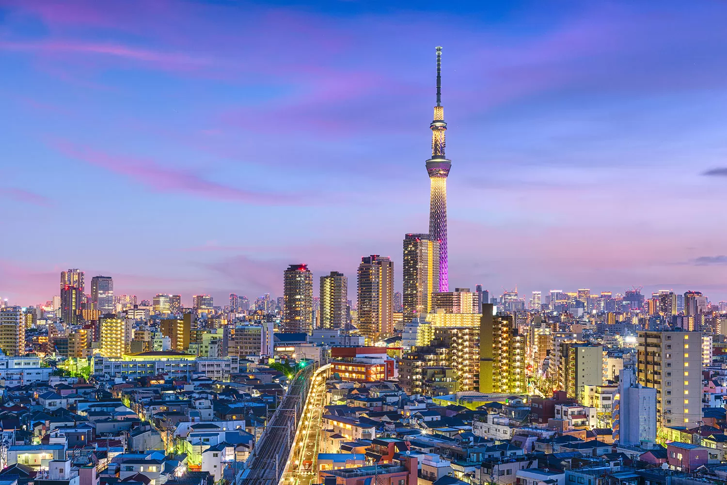¡Viví la pasión por Los Pumas, de acá a Japón!