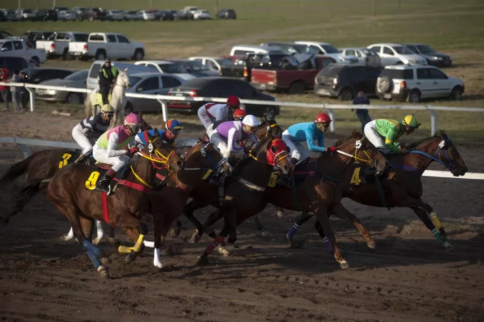 A TODA VELOCIDAD. Ejemplares de reconocida trayectoria competirán el sábado, jornada en que la prueba central será el especial “Luis ‘Loro’ López”. la gaceta / foto de DIEGO ARAOZ