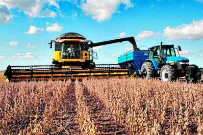 Restan cosechar 240.000 ha para finalizar la actual campaña sojera