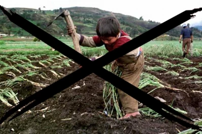 Tucumán lucha contra el trabajo infantil
