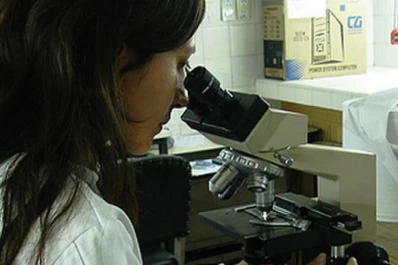 Avanza un desarrollo tecnológico entre el Insibio y Corea del Sur