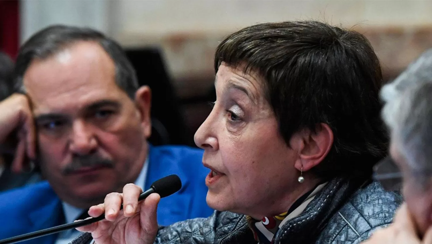 Beatriz Mirkin en el Senado, con José Alperovich de fondo.