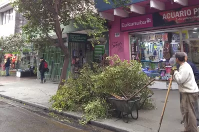 Peatones acusaron a municipales de destruir árboles en la calle Córdoba al 600