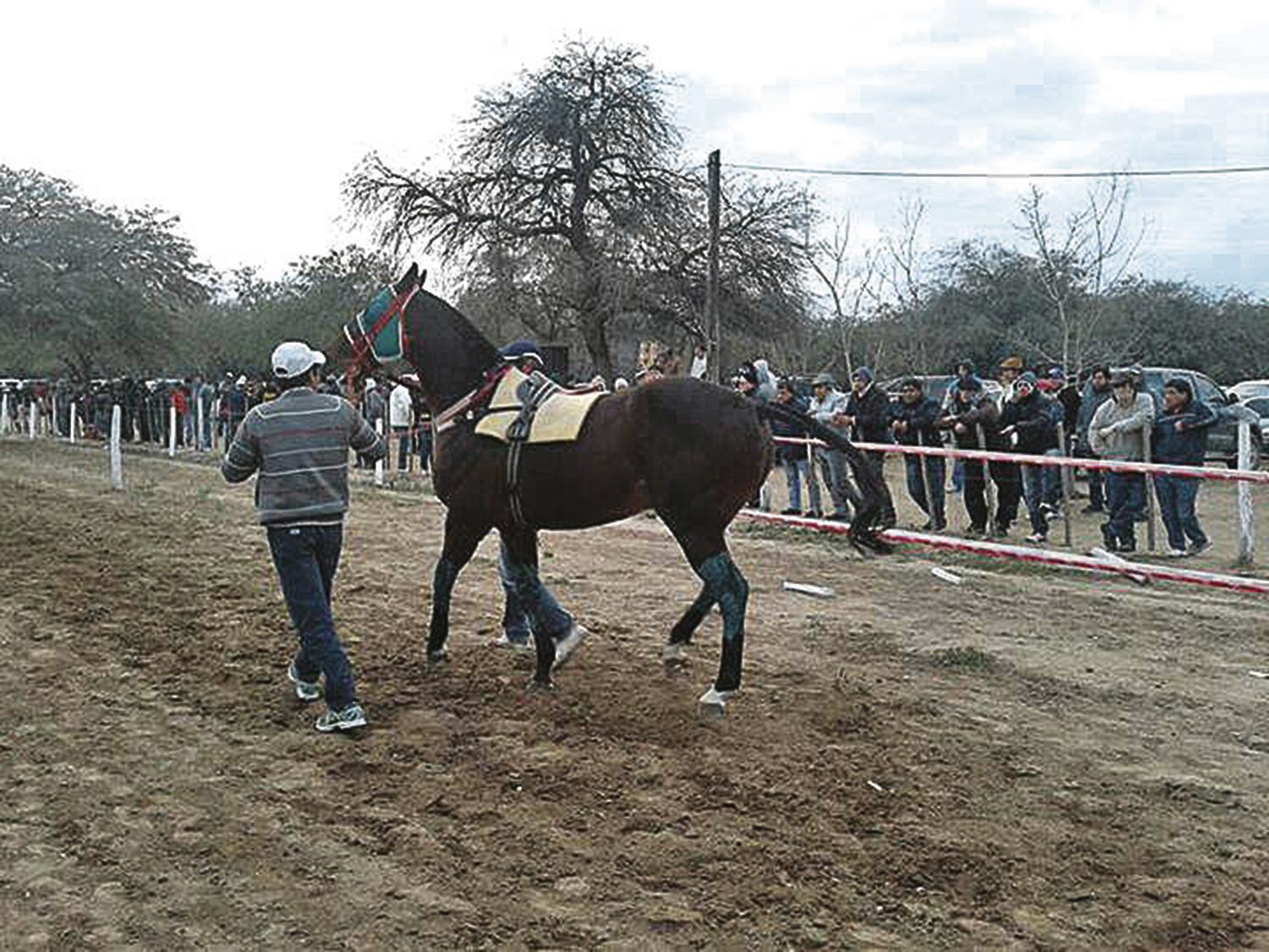 El Hipódromo les abre las puertas a las cuadreras