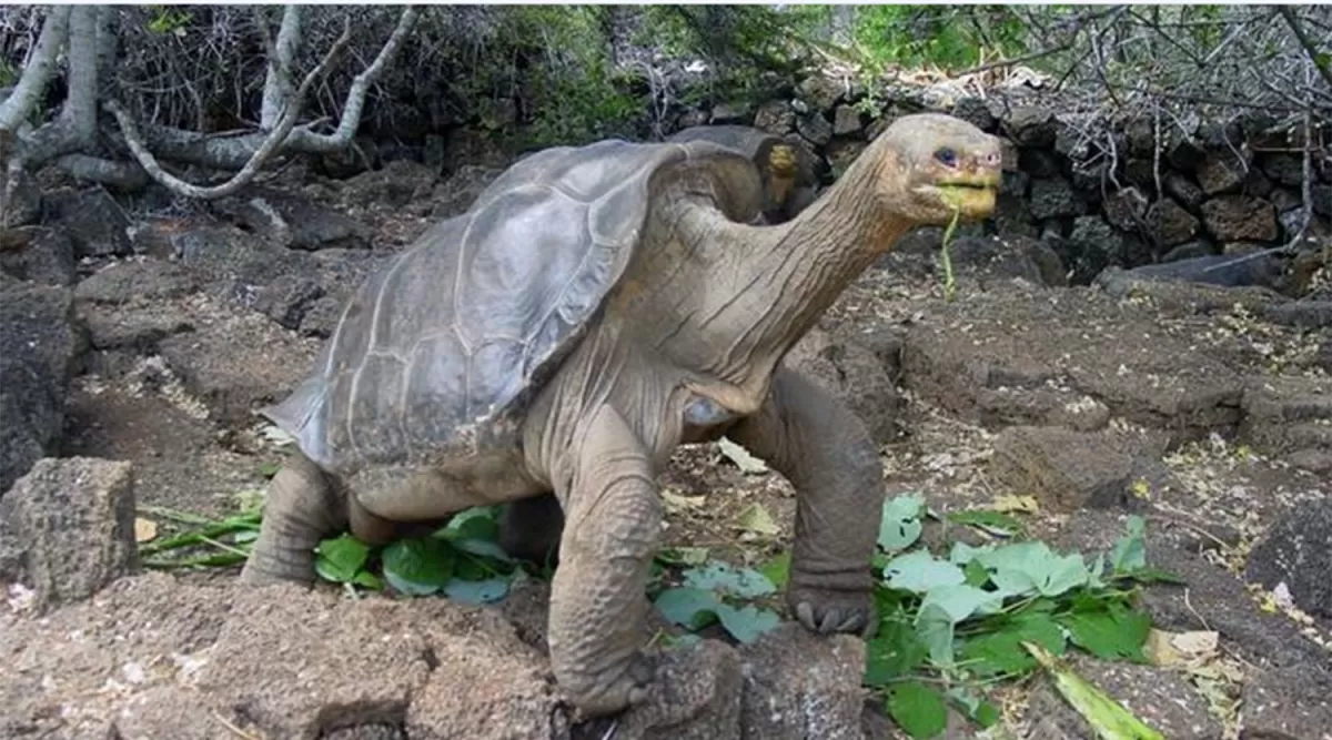 Armá tu agenda: toda la oferta en cine y entretenimientos para hoy