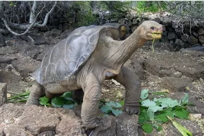 Armá tu agenda: toda la oferta en cine y entretenimientos para hoy