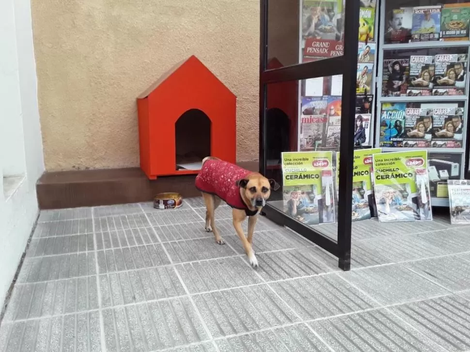 CHANO YA TIENE CUCHA. En el Paseo del Milagro, de Monteros, colocaron una de las coloridas casitas. 