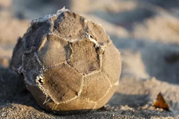 Por todo esto el fútbol argentino huele a podrido