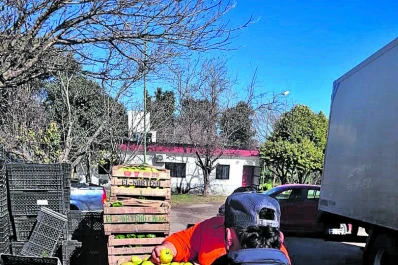 Evitan el ingreso a Tucumán de cítricos sin proceso y con resto vegetal