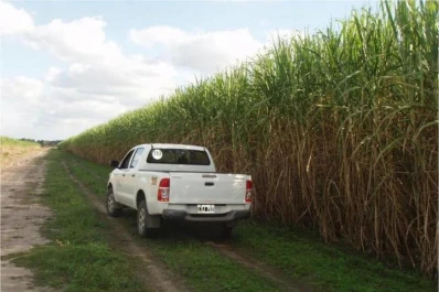“La campaña cañera 2019 es inviable sin financiamiento”