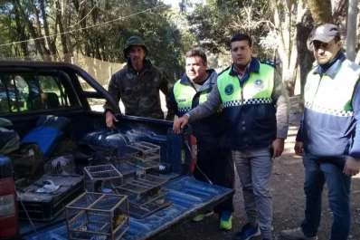 Un ave silvestre no puede ser tu mascota