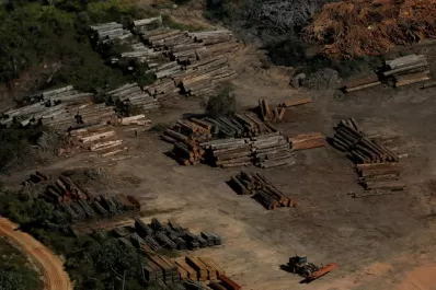La destrucción de la Amazonía brasileña aumentó en un 88%
