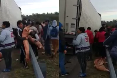 Un camión perdió su carga de cerdos faenados: los vecinos se llevaron todo