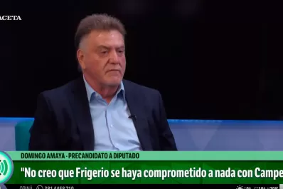 Según Amaya, la Provincia se perdió la chance de acceder a un crédito de U$S 500 millones