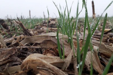 La conservación de suelos plantea desafíos