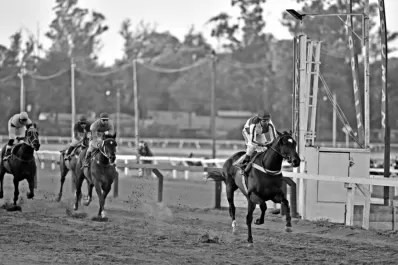 Turf: apareció el crack