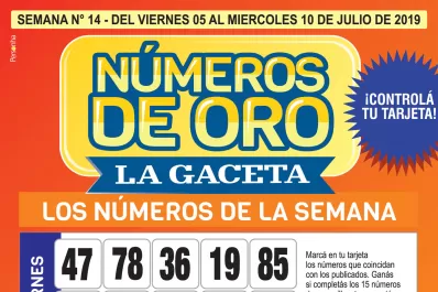 Controlá tu tarjeta: la grilla completa de los Números de Oro