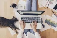 Senado: el oficialismo avanza para sancionar sin cambios la Ley de Teletrabajo