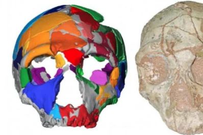 ¿Llegó el sapiens a Europa antes de lo que se creía?