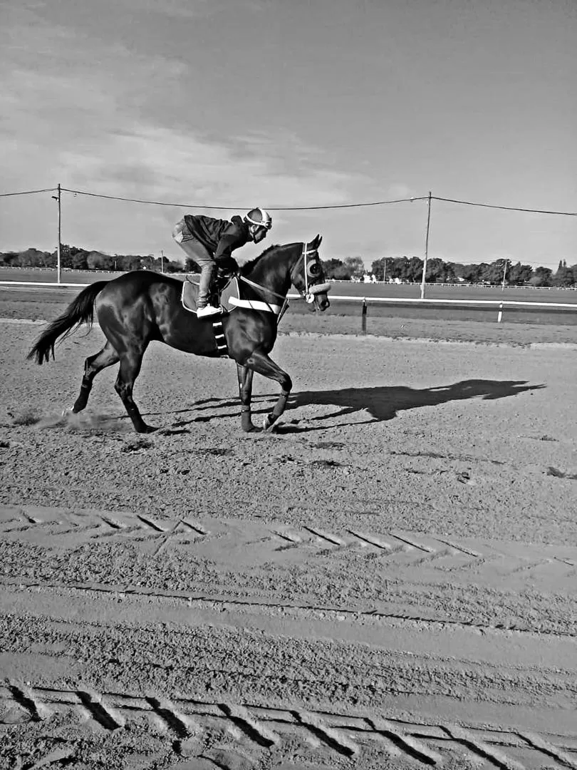 PUESTA A PUNTO. ER Zafarrancho, que cuenta con la preparación de Pedro Cabrera y Franco Maldonado, correrá el clásico.  