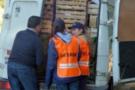 Citricultura: capacitarán para la detección precoz del HBL