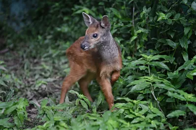 Agenda con actividades para entretener a los chicos en las vacaciones de invierno