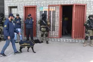 Narcotráfico: algunos de los procedimientos policiales en Manantial Sur