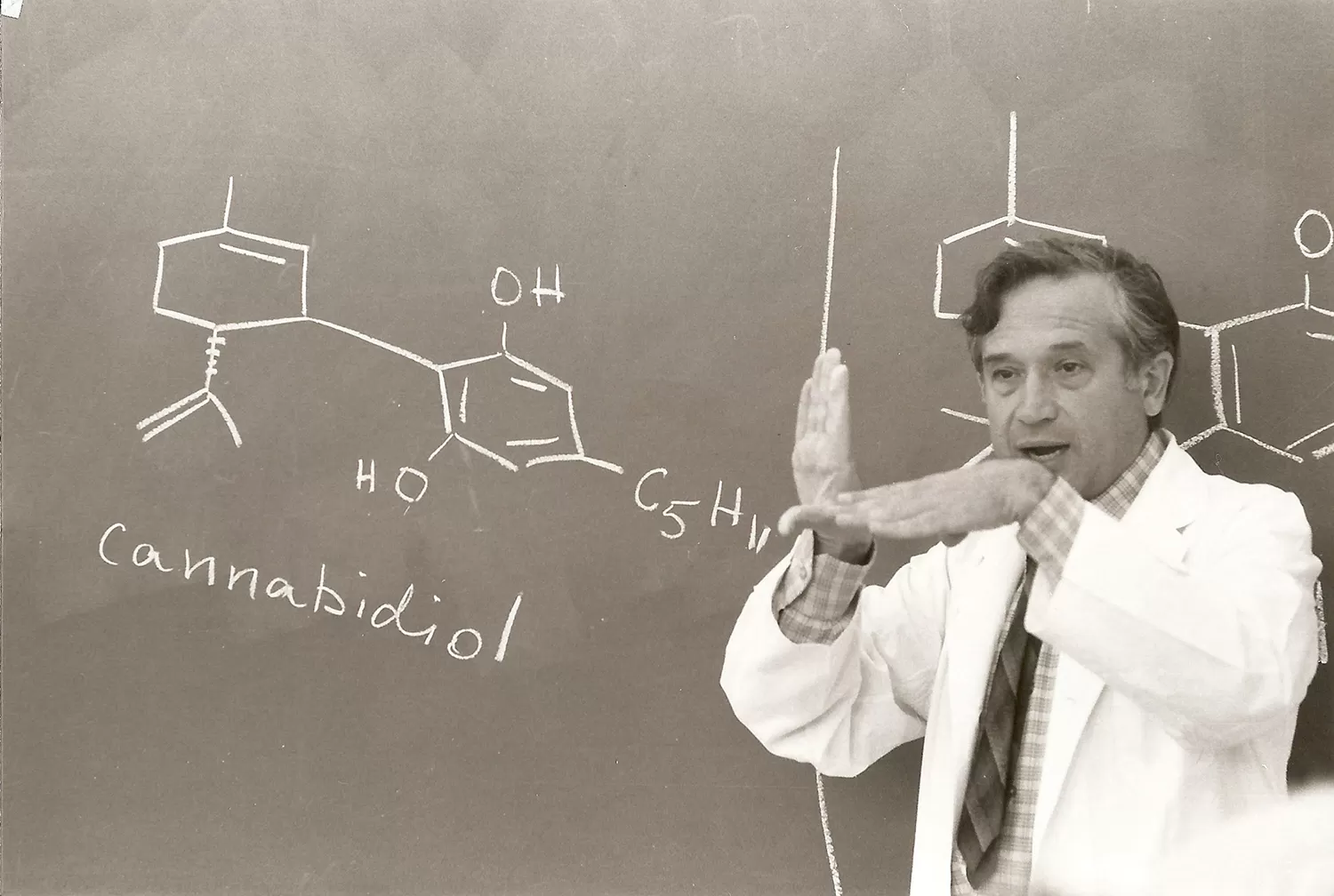 El químico israelí Raphael Mechoulam explica la composición del CBD, una de las susntancias del cannabis