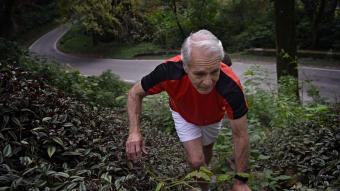 Cuando corre le crecen alas