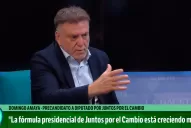 Las declaraciones de Alberto Fernández son irresponsables, dijo Amaya