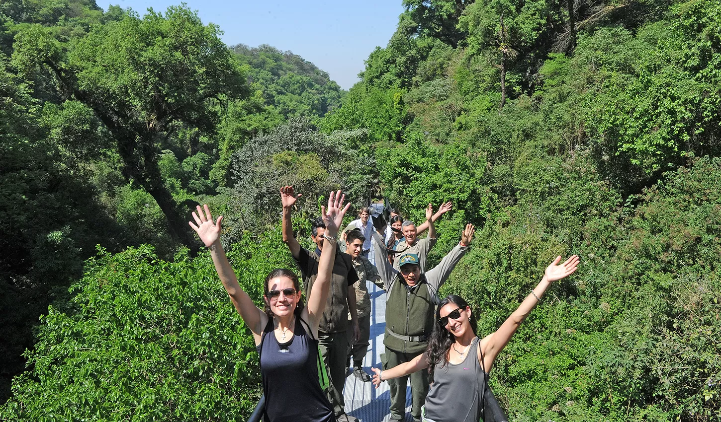 Disfrutar el verde de la naturaleza es una tentación.